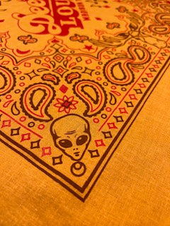 Dee's Mascot Bandana